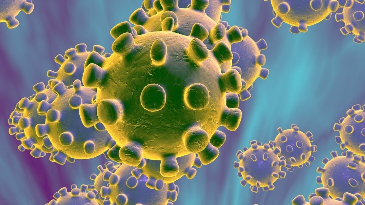 Ebola virüsü salgını büyüyor: Pandemi olacak mı? 2 Ebola virüsü salgını büyüyor: Pandemi olacak mı?