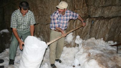 Antalya’nın Akseki ilçesinde yaklaşık bin 900 metre rakımlı Çimi Yaylası’na
