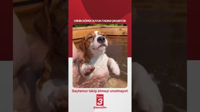 📶https://kanal3.com.tr/ Sosyal Medya Hesaplarımızı Takip Ederek Son Dakika Haberleri Alabilirsiniz;