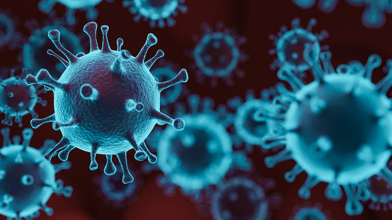 Ebola virüsü salgını büyüyor: Pandemi olacak mı? 1 Ebola virüsü salgını büyüyor: Pandemi olacak mı?