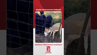 📶https://kanal3.com.tr/ Sosyal Medya Hesaplarımızı Takip Ederek Son Dakika Haberleri Alabilirsiniz;