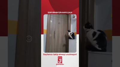 İçeri girmek için kapıyı çaldı… 📶https://kanal3.com.tr/ Sosyal Medya Hesaplarımızı Takip