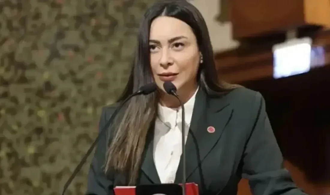 İstanbul Sultangazi Belediye Meclisinin CHP'li üyesi avukat Hülya Şimşek, bir