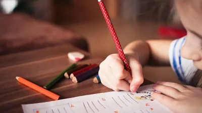 Kamuda çalışan ebeveynlerden biri, okul öncesi eğitim, ilkokul 1. sınıf