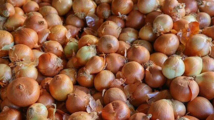 Kuru soğan ithalatında yüzde 5 gümrük vergisi uygulamasının süresi 31