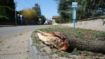 Fransa'nın özellikle güneyinde ve güneydoğusunda etkili olan şiddetli rüzgarlar yıkım
