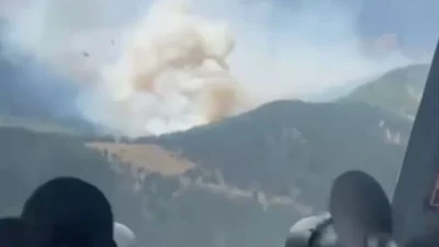 Antalya'nın Manavgat ilçesinde çıkan orman yangına müdahale ediliyor.
