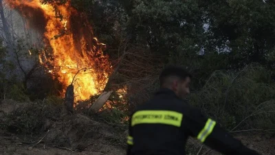Yunanistan'ın Eğriboz, Korfu ve Salamina adaları, Mandra Eidillias civarı ile