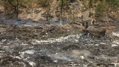 Fransa'nın Landes vilayetine bağlı Luglon köyünde devam eden orman yangınında,