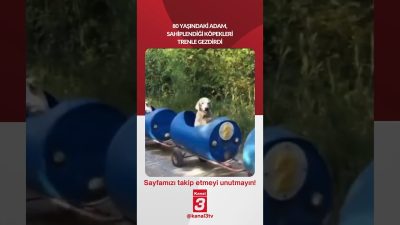 Kanal 3Paz, Ağustos 16, 2026 10:00amURL:Embed:80 yaşındaki adam, sahiplendiği köpekleri