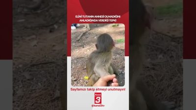 Elini tutanın annesi olmadığını anladığında verdiği tepki… 📶https://kanal3.com.tr/ Sosyal Medya