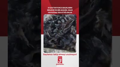 35 saat boyunca balıklarını beslemeyen bİr adamın, balık havuzuna yem