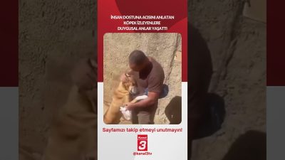 Kanal 3Çar, Ağustos 19, 2026 12:00pmURL:Embed:İnsan dostuna acısını anlatan köpek