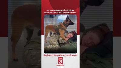Uyuyan kadın askerin üzerinde durarak onu koruyan görev köpek viral