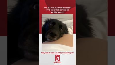 Kanal 3Sal, Eylül 29, 2026 12:01pmURL:Embed:Köpeğinin, bebeğin attığı tekmeyi hissettiğindeki