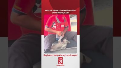 Müşterileri bekletip köpeğin patisine batan dikeni çıkardı… 📶https://kanal3.com.tr/ Sosyal Medya