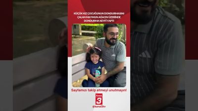 Küçük kız çocuğunun dondurmasını çalan maymun ağacın üzerinde dondurma keyfi