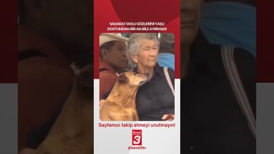 Kanal 3Paz, Eylül 20, 2026 10:00amURL:Embed:Sadakat dolu gözlerini yaşlı dostundan