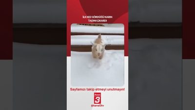 Kanal 3Çar, Eylül 2, 2026 6:30amURL:Embed:İlk kez gördüğü karın tadını