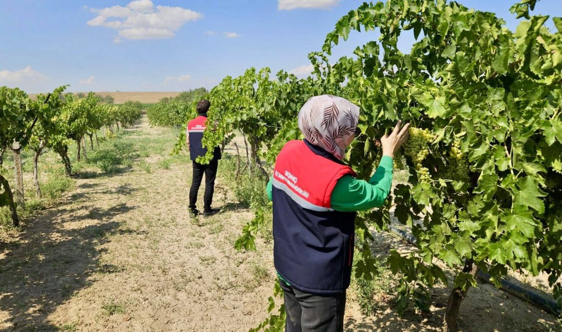 Afyonkarahisar’da bitkisel üretimin sağlıklı ve verimli şekilde sürdürülebilmesi amacıyla tarım