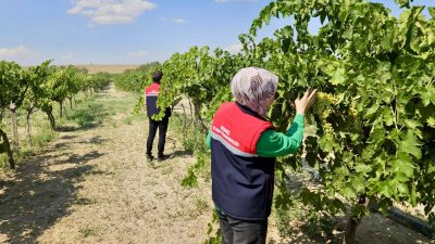 Afyonkarahisar’da bitkisel üretimin sağlıklı ve verimli şekilde sürdürülebilmesi amacıyla tarım