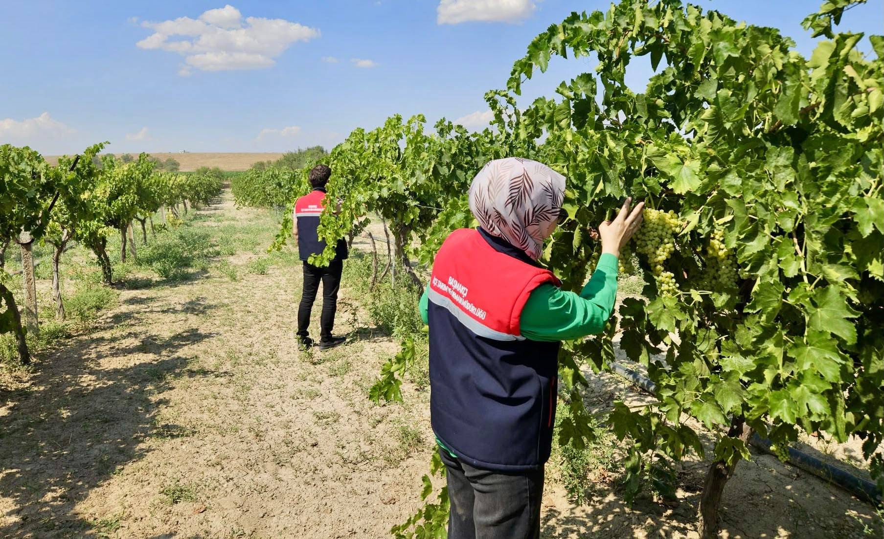 Afyonkarahisar’da bitkisel üretimin sağlıklı ve verimli şekilde sürdürülebilmesi amacıyla tarım