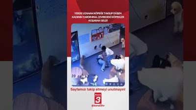 Kanal 3Pts, Eylül 28, 2026 12:00pmURL:Embed:Yerde uzanan köpeğe takılıp düşen