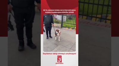 Kanal 3Paz, Eylül 27, 2026 4:00pmURL:Embed:İki yıl aradan sonra hayatını