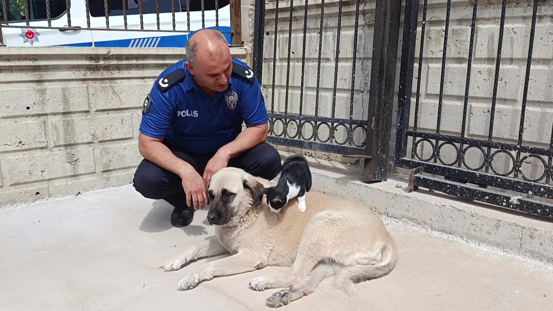 Gören, bir daha bakıyor