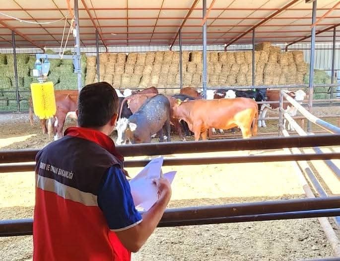 Afyonkarahisar’da Kırsalda Bereket Büyükbaş Hayvancılık Destek Programı kapsamında Tarım İşletmeleri