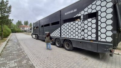 Afyonkarahisar’ın Sinanpaşa ilçesinde, il dışına yapılacak hayvan sevklerine yönelik kontrol