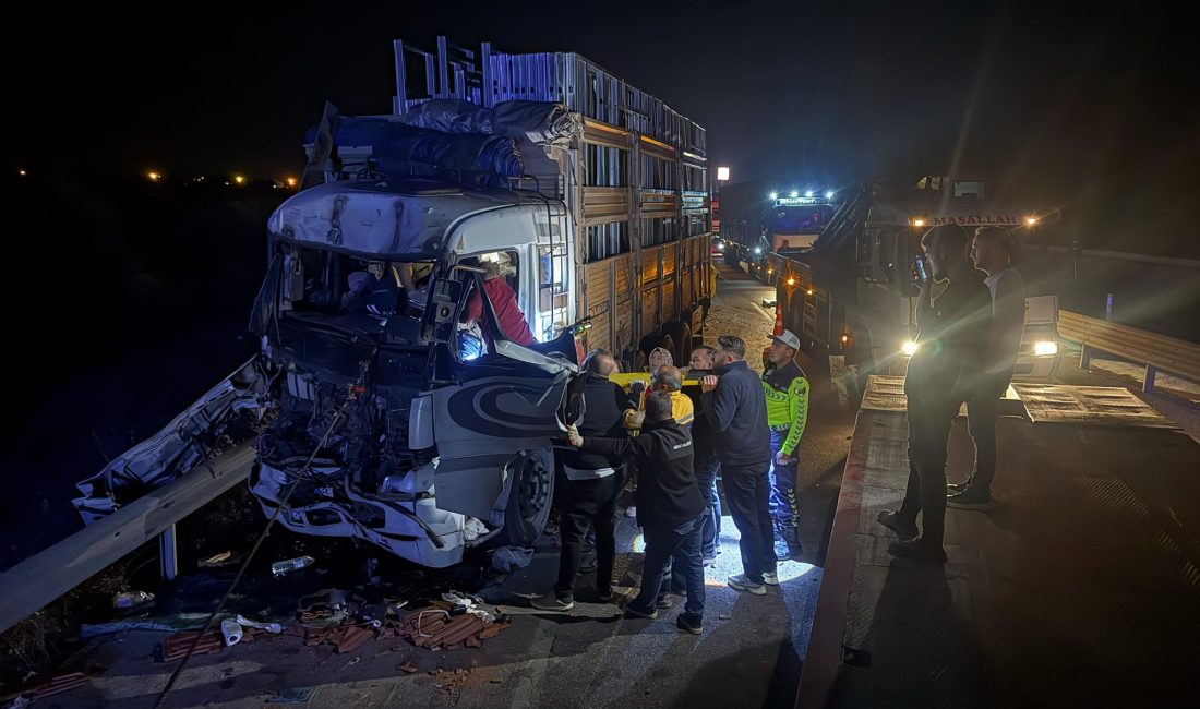 Afyonkarahisar'da iki kamyonun çarpışması sonucu yaşanan trafik kazasında sürücülerden biri