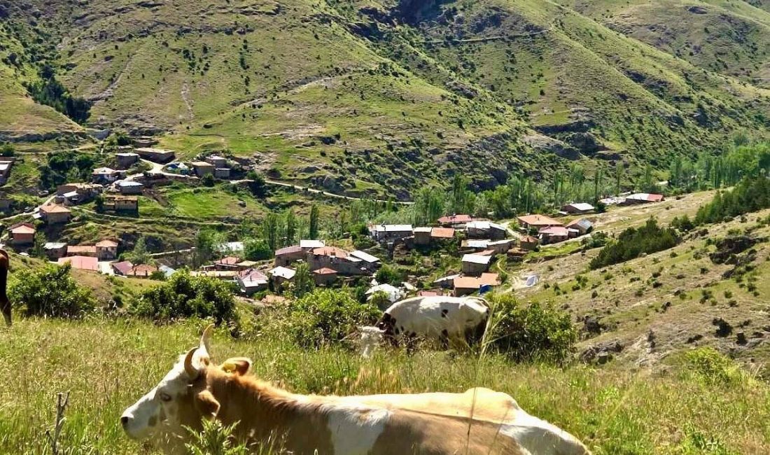 fyonkarahisar'da ‘Kırsal Dezavantajlı Alanlar Kalkınma Projesi’ çerçevesinde üreticilere yönelik saha