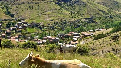 fyonkarahisar'da ‘Kırsal Dezavantajlı Alanlar Kalkınma Projesi’ çerçevesinde üreticilere yönelik saha