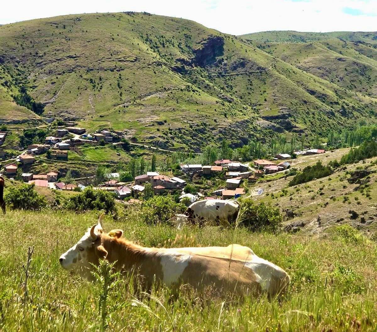 fyonkarahisar'da ‘Kırsal Dezavantajlı Alanlar Kalkınma Projesi’ çerçevesinde üreticilere yönelik saha