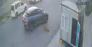 Afyonkarahisar'da bir sürücünün sokak köpeğine çarptıktan sonra durmayarak yoluna devam