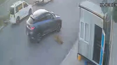Afyonkarahisar'da bir sürücünün sokak köpeğine çarptıktan sonra durmayarak yoluna devam
