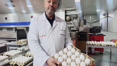 Yumurta üretiminde Türkiye'de yaklaşık yüzde 25'lik gibi büyük bir paya