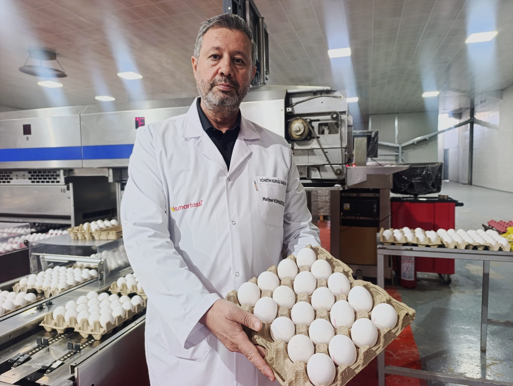 Yumurta üretiminde Türkiye'de yaklaşık yüzde 25'lik gibi büyük bir paya