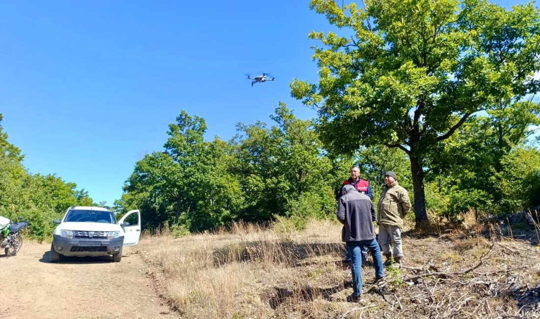 Afyonkarahisar’ın Sultandağı ilçesinde kaybolan 9 büyükbaş hayvan, dron destekli arama