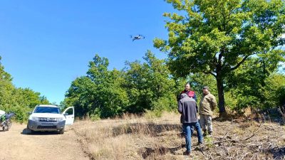 Afyonkarahisar’ın Sultandağı ilçesinde kaybolan 9 büyükbaş hayvan, dron destekli arama