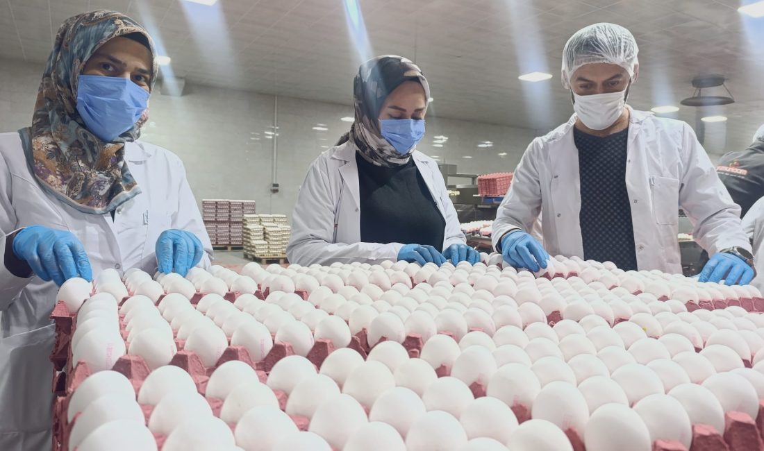 Afyonkarahisar Ticaret ve Sanayi Odası (ATSO) Yumurtacılar Meslek Komitesi Üyesi