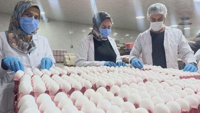 Afyonkarahisar Ticaret ve Sanayi Odası (ATSO) Yumurtacılar Meslek Komitesi Üyesi