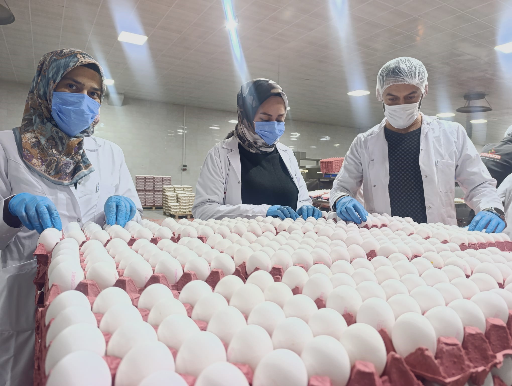 Afyonkarahisar Ticaret ve Sanayi Odası (ATSO) Yumurtacılar Meslek Komitesi Üyesi