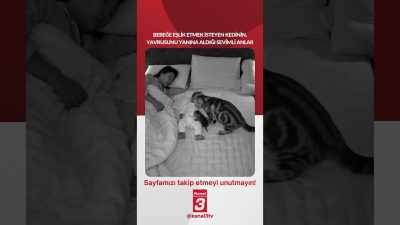 Bebeğe eşlik etmek isteyen kedinin, yavrusunu yanına aldığı sevimli anlar…
