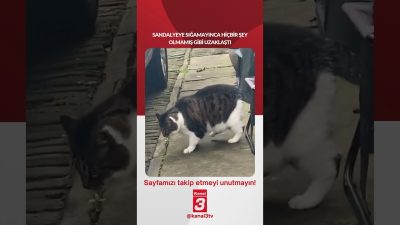 Kanal 3Per, Eylül 10, 2026 12:00pmURL:Embed:Sandalyeye sığamayınca hiçbir şey olmamış