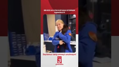 Bir kedi, hayatını kurtaran veterinere teşekkür etti… 📶https://kanal3.com.tr/ Sosyal Medya