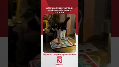 Kanal 3Pts, Eylül 28, 2026 4:00pmURL:Embed:Bu restoranda kediyi takip etmen