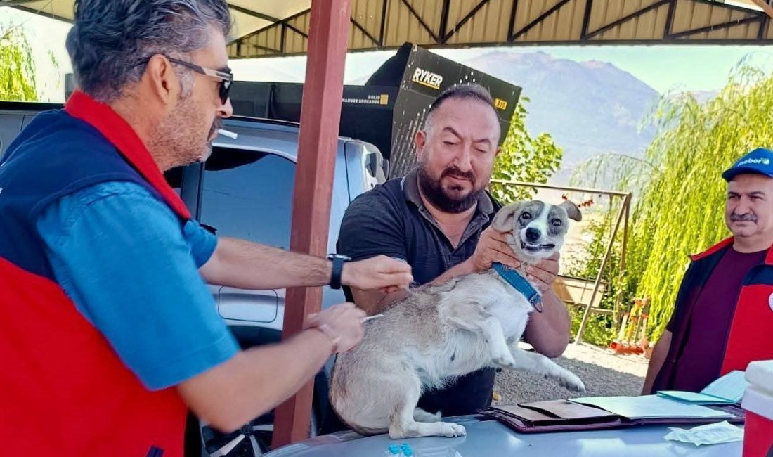 Afyonkarahisar’ın Çay ilçesinde evcil hayvanların kayıt altına alınması ve kuduz