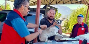 Afyonkarahisar’ın Çay ilçesinde evcil hayvanların kayıt altına alınması ve kuduz